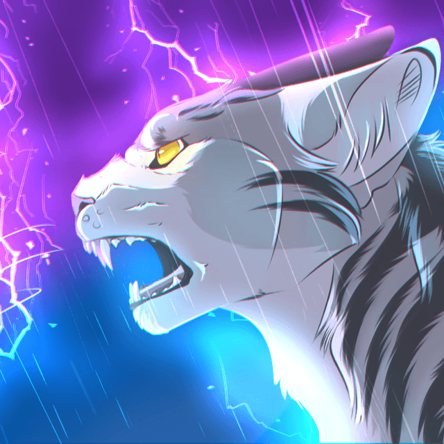 Calis's avatar