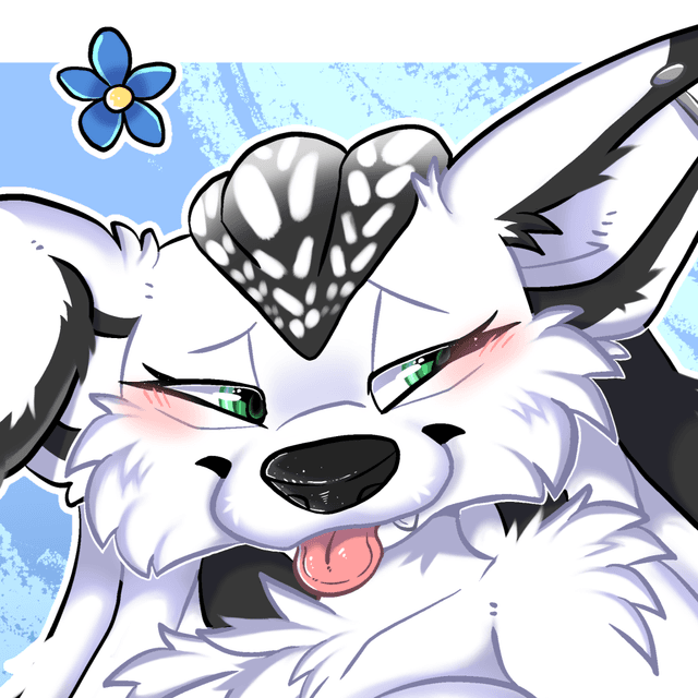 Faë's avatar