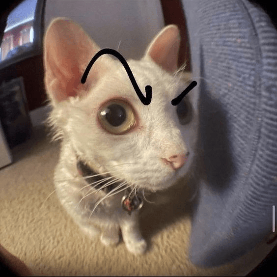 Nemeroff's avatar