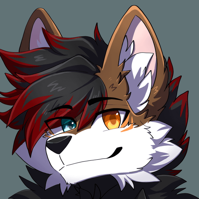 Berlifox 's avatar